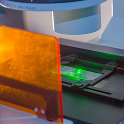 Visual inspection